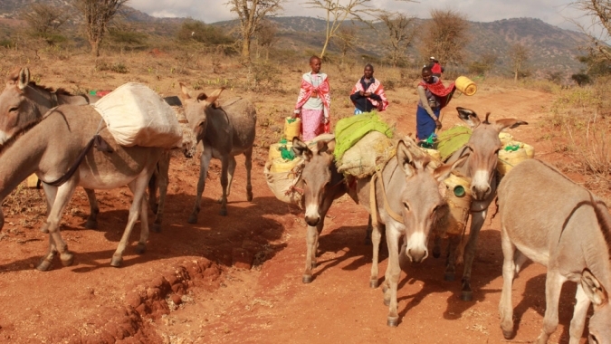 Massai Modellfarmen - Natur erhalten, Einkommen schaffen
