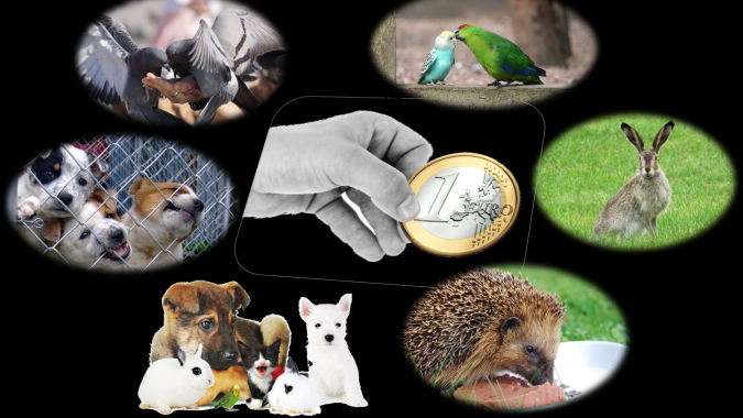 Wildtiere in Not