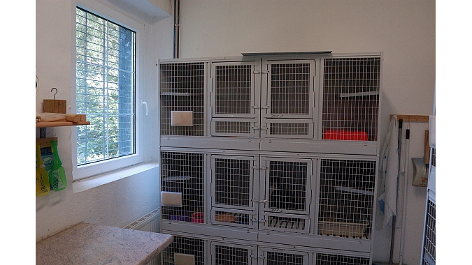 Erneuerung Quarantäneboxen