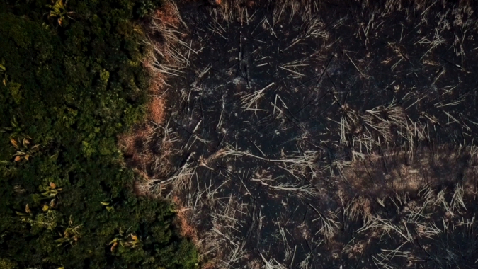 Brasilien, Amazonas – Regenwald braucht Schutz