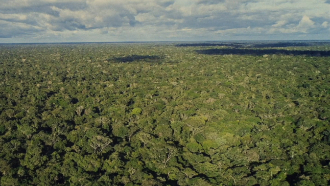 Brasilien, Amazonas – Regenwald braucht Schutz