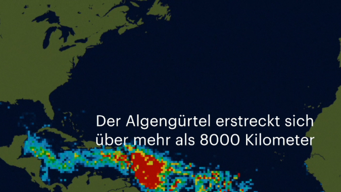 Brasilien, Amazonas – Regenwald braucht Schutz