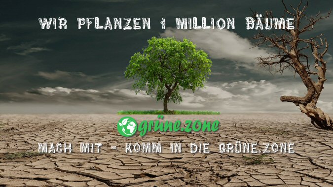grüne.zone pflanzt 1 Million Bäume