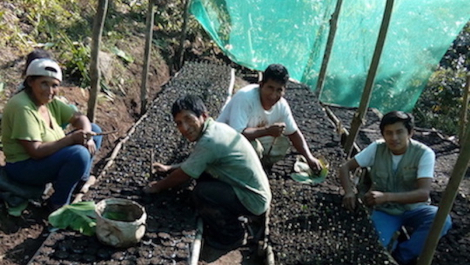 Sicherung der Wasserressourcen und Erhalt der Biodiversität in der Region Chanchamayo (Peru)