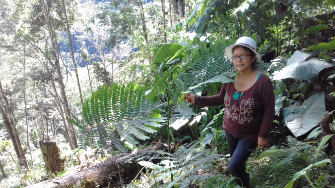 Sicherung der Wasserressourcen und Erhalt der Biodiversität in der Region Chanchamayo (Peru)