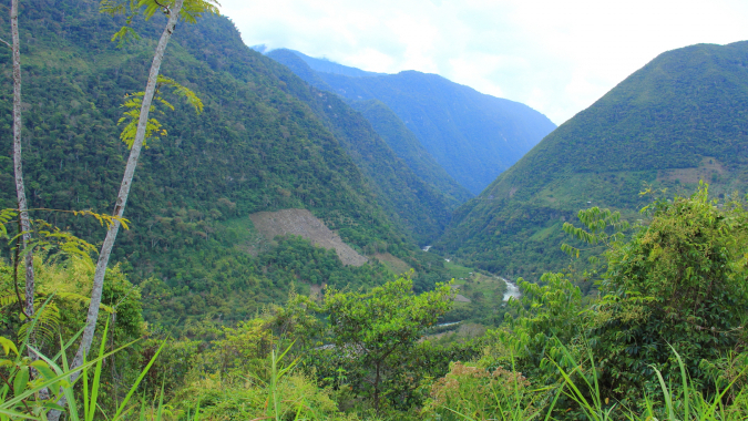 Sicherung der Wasserressourcen und Erhalt der Biodiversität in der Region Chanchamayo (Peru)