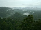 Auswilderungsstation für Sumatra Orang-Utans in Bukit Tigapuluh