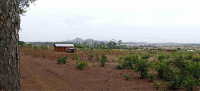 Schulprojekt in Kamerum - Ngaoundéré