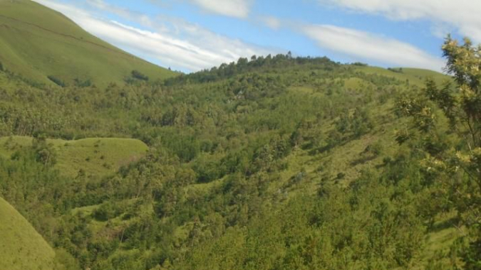 Klimaschutz durch Bäumepflanzen im Süd-Kivu / DR Kongo