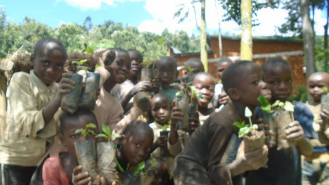 Klimaschutz durch Bäumepflanzen im Süd-Kivu / DR Kongo