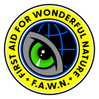 Tierra Madre Projekt - Landkauf und Regenwaldaufforstung